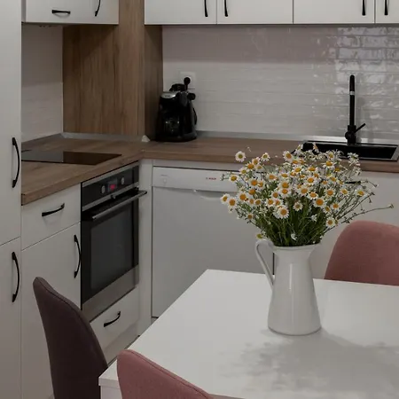 Sos Comfort * 부르가스